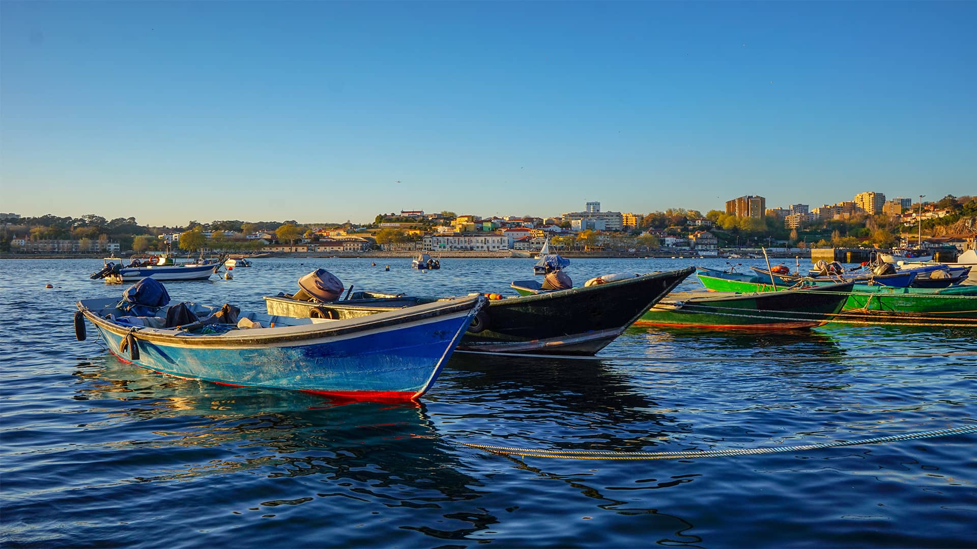 Go Local - Fisherman's Village